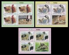 COREEA DE NORD 2016 FAUNA PASARI GAINI GASTE STRUTI foto