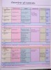 English Portfolio Student&#039;s Book 8, Clasa 8, Limba Engleza