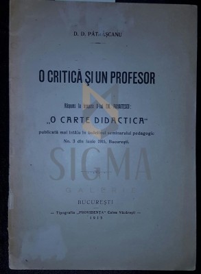 O critica si un profesor foto