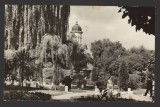 CPIB 21712 - CARTE POSTALA - RADAUTI. VEDERE DIN PARC, Circulata, Fotografie