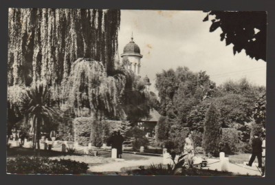 CPIB 21712 - CARTE POSTALA - RADAUTI. VEDERE DIN PARC foto