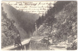 5363 - SURDUK, Pass, Gorj - Petrosani, Romania - old postcard - used - 1907