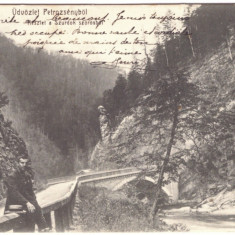 5363 - SURDUK, Pass, Gorj - Petrosani, Romania - old postcard - used - 1907