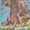 &Icirc;nt&icirc;mplări din Munții St&icirc;ncoși