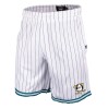 Anaheim Ducks pantaloni scurți pentru bărbați Grafton Pinstriped - XXL