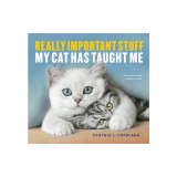 Really Important Stuff My Cat Has Taught Me