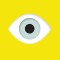 Seeing Things: A Kid&#039;s Guide to Looking at Photographs