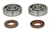 Crankshaft bearings set with gaskets fits: KTM SX 65 1998-2008