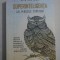 SUPERINTELIGENTA Cai, Pericole, Strategii - Nick BOSTROM