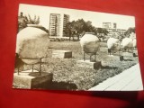 Ilustrata Constanta - Vedere circulat 1966, Circulata, Fotografie