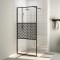 vidaXL Paravan de duș walk-in negru 80x195 cm sticlă ESG transparentă 151028