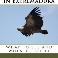 A Years Birding in Extremadura: What to See and When to See It