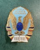 Insigna Scoala de aviatie din Romania 1968 - 1988 aniversara 20 ani varianta medalion albastra RSR
