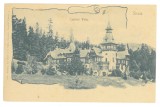 5679 - SINAIA, Prahova, PELES Castle, Litho, Romania - old postcard - unused