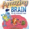 Your Amazing Brain: The Epic Illustrated Guide