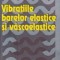 Vibratiile barelor elastice si vascoelastice