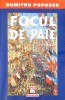 Focul de Paie - Dumitru Popescu, Editura Niculescu, 1999, Roman, Beletristica, 450 Pagini, Limba Romana