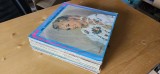 DISC VINIL POPULARA LOT 30 BUCATI , STARE FOARTE BUNA A DISCULUI .
