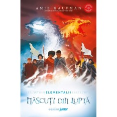 Elementalii vol. 3. Nascuti din lupta, Amie Kaufman