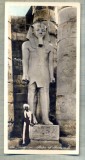 AD 585 C. P. VECHE -LUXOR - STATUE OF RAMESES II -EGYPT, Circulata, Franta, Printata