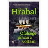 Őfels&eacute;ge pinc&eacute;re voltam - Bohumil Hrabal