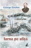 Iarna pe ulita | George Cosbuc