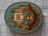 Insigna colegiul national de aparare