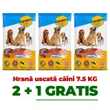 Cumpara ieftin 2+1 GRATIS - hrană uscată pentru c&acirc;ini adulți Campion 7,5 kg