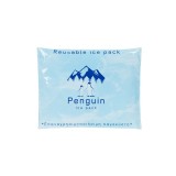 Pachet de gheata cu gel, reutilizabil, 20x16 cm, ATU-080193, Oem