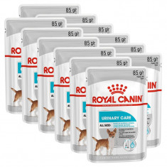 Royal Canin Dermacomfort Dog Loaf pliculeț cu pate pentru câini cu probleme de rinichi 12 x 85 g
