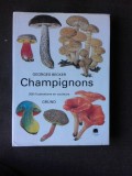 Champignons - Georges Becker (text in limba franceza)