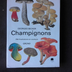 Champignons - Georges Becker (text in limba franceza)