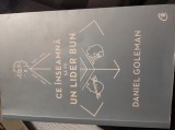Ce &icirc;nseamnă să fii un lider bun- Daniel Goleman