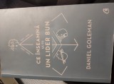 Ce &icirc;nseamnă să fii un lider bun- Daniel Goleman