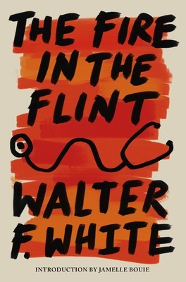 The Fire in the Flint foto