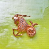 D810-Insigna zodiac CAPRICORN bronz masiv aurit stare foarte buna. Marimi: 5.5/ 5 cm.