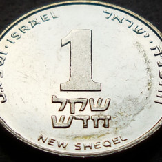 Moneda 1 New Sheqel - ISRAEL, anul 1995 * cod 252 - Monetaria Utrecht