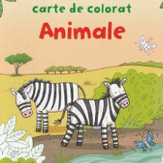 Animale. Prima mea carte de colorat