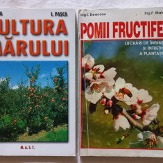 CULTURA MARULUI - L. CHIRA, I. PASCA + POMII FRUCTIFERI. LUCRARILE DE INFIINTARE