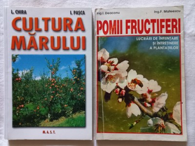 CULTURA MARULUI - L. CHIRA, I. PASCA + POMII FRUCTIFERI. LUCRARILE DE INFIINTARE foto