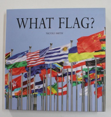 WHAT FLAG ? by NICOLE SMITH , 2015 foto