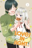 Love&#039;s in Sight!, Vol. 3