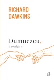 Dumnezeu, o amagire | Richard Dawkins, Curtea Veche, Curtea Veche Publishing