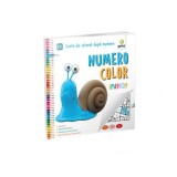 Cumpara ieftin NumeroColor Initiat. Carte de colorat dupa numere, Gama
