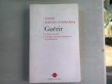 GUERIR LE STRESS, L&#039;ANXIETE ET LA DEPRESSION SANS MEDICAMENTS NI PSYCHANALYSE - DAVID SERVAN SCHREIBER