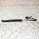 Amortizor capota st&acirc;nga față TESLA MODEL 3 2020 OEM: 1091472-00-B 16035598