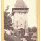 3967 - MEDIAS, Sibiu, Romania - old postcard - used