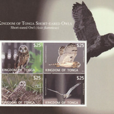 Tonga 2012-Fauna,Pasari,Bufnite,Ciuful de camp,Bloc 4 val. ,MNH,Mi,TO Bl.57