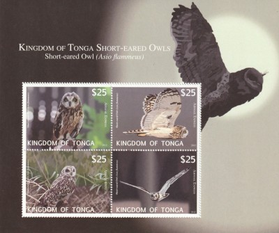 Tonga 2012-Fauna,Pasari,Bufnite,Ciuful de camp,Bloc 4 val. ,MNH,Mi,TO Bl.57 foto