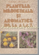 Plantele Medicinale Si Aromatice De La A La Z - Ovidiu Bojor, Mircea Alexan foto